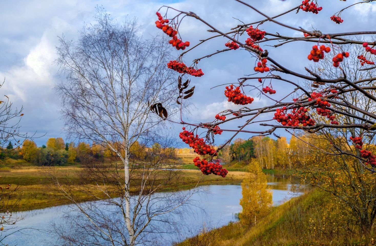 Ноябрь глядит