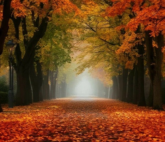 Зачем приходишь ты опять во сне