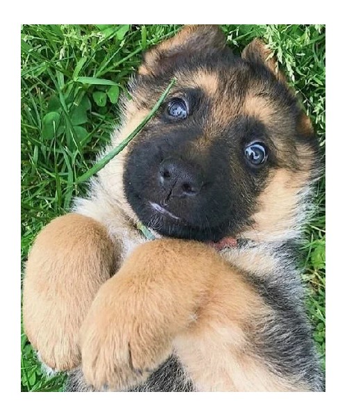 Нужен переводчик!