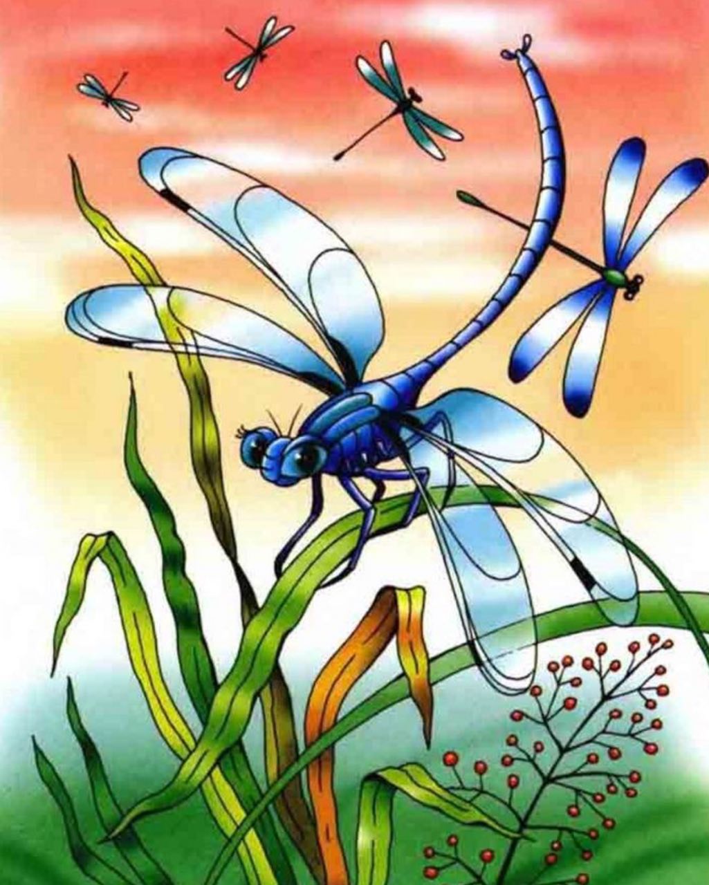 Стрекоза он стрекозёл???