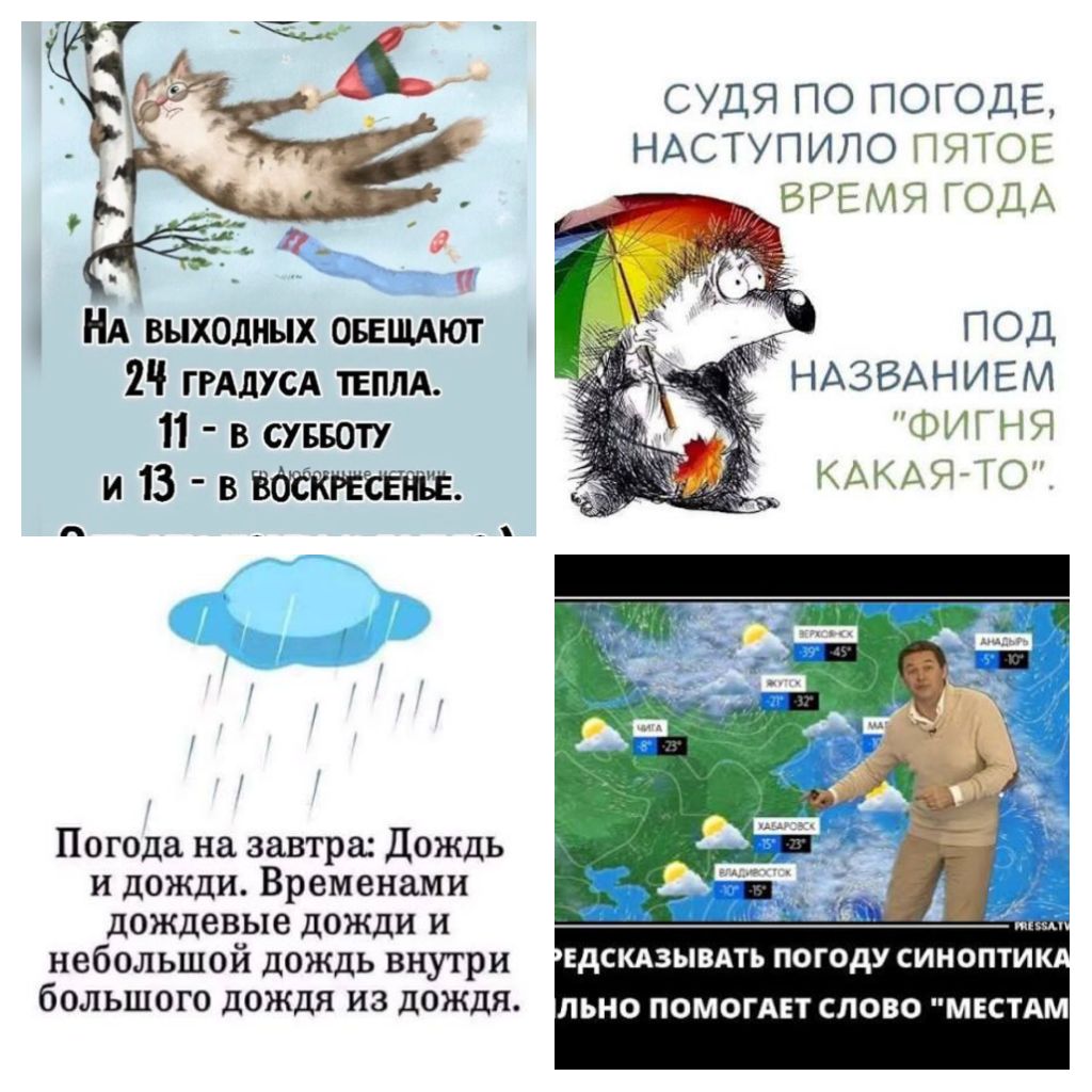 Синоптик посмотрел в окно...