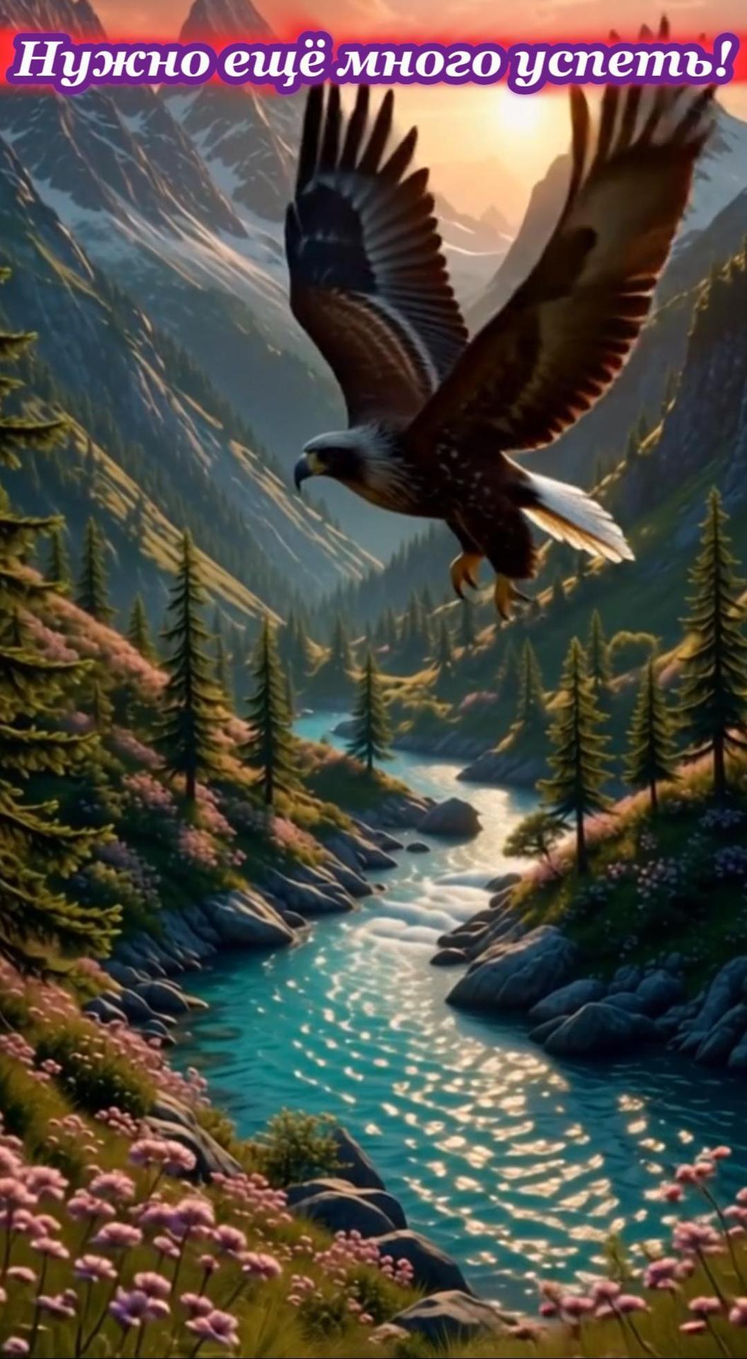 Нужно ещё много успеть...