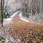 Ноябрь ступает тихо, без бравады...