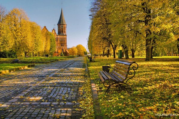 Станут янтарной смолой вечера