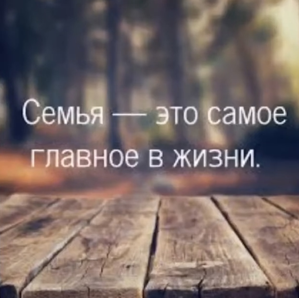 Семья - вот мой надежный тыл