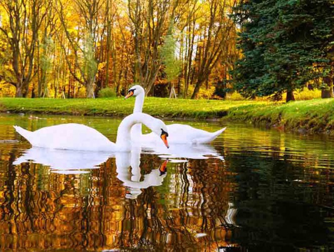 Вот, уже Ноябрь - на взлёте!