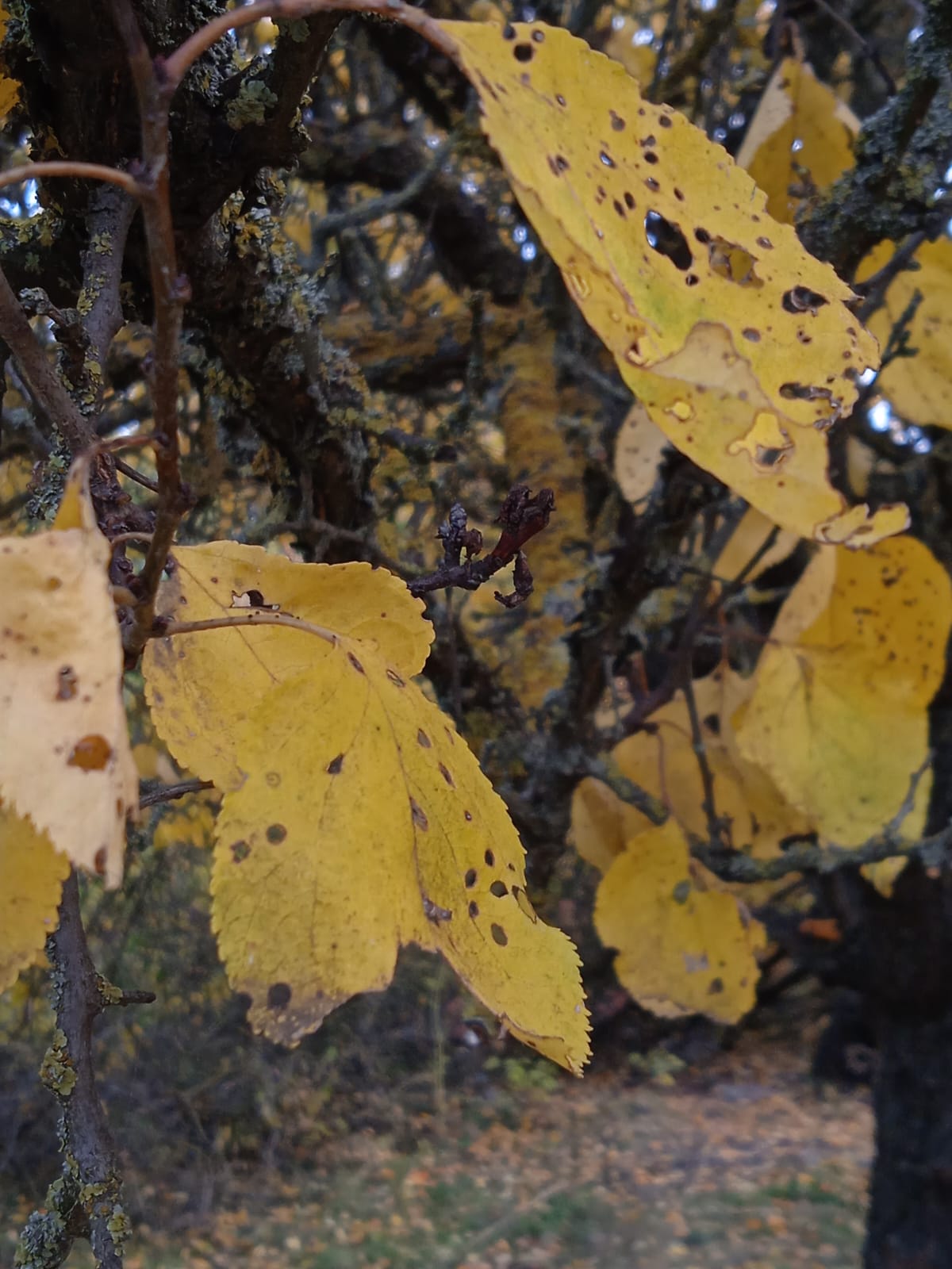 И только музыка спасала, от этой удушающей тоски