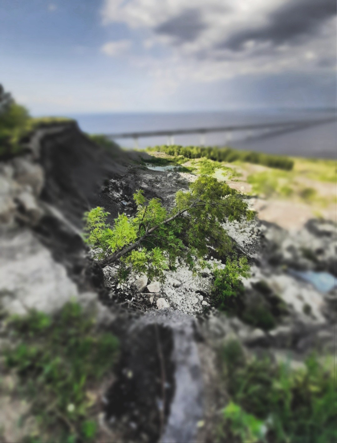 Виды безразличия