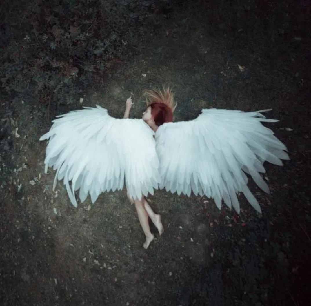 Два белых крыла