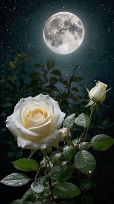 Здесь и там