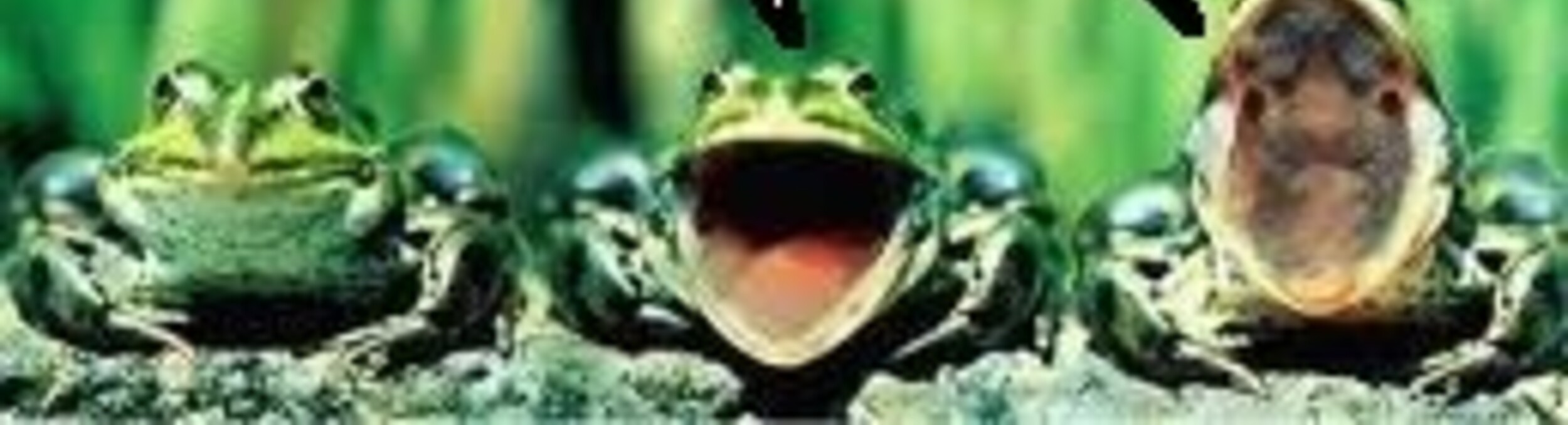 Кто дал право им судить