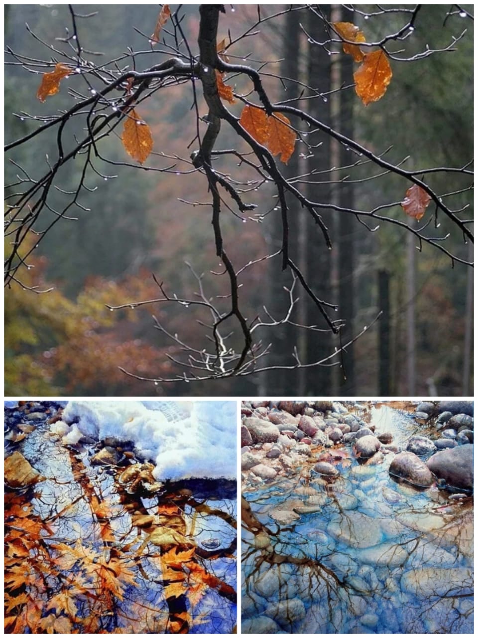 Дорога в гору к осени...