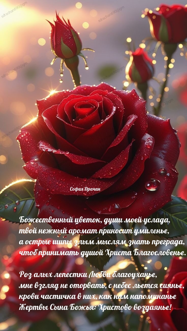 Божественный цветок...