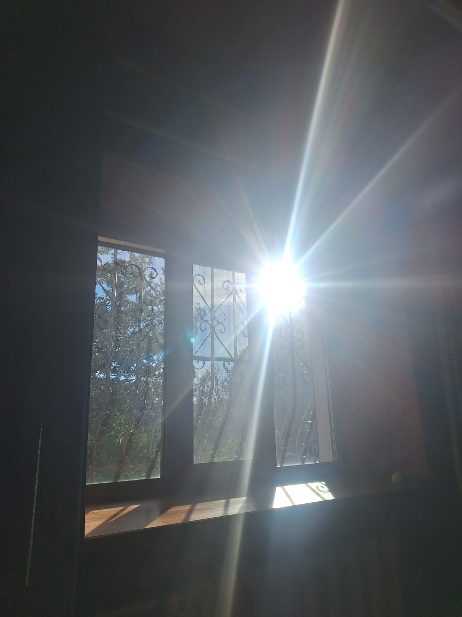 Сегодня светит солнце- мне не верится