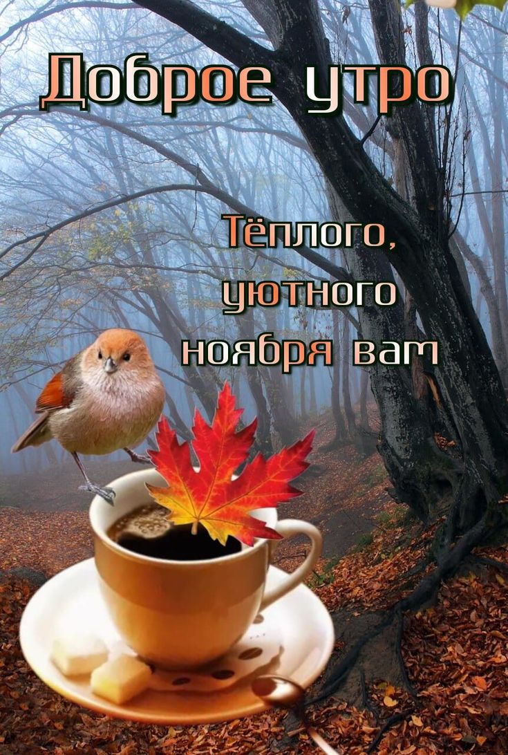 Осенний этюд