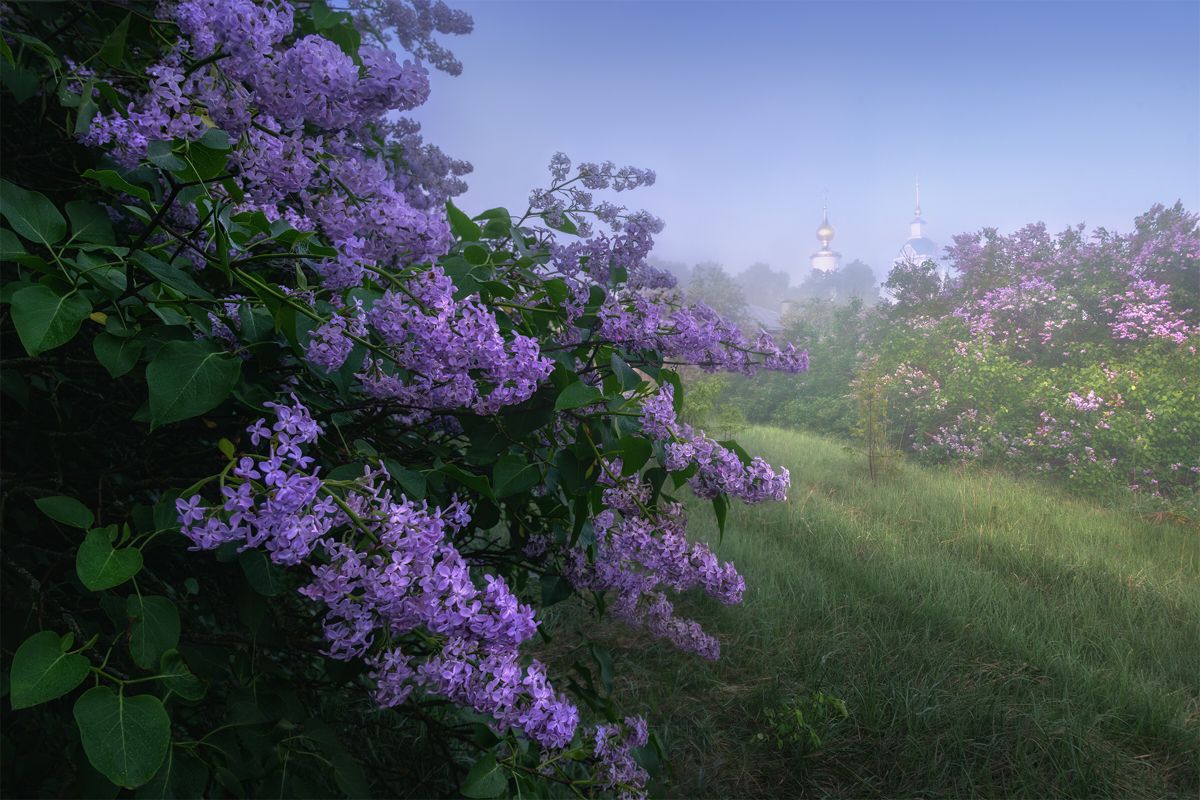 Живу дыханием любви