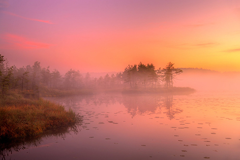 И солнце потонет в реке...