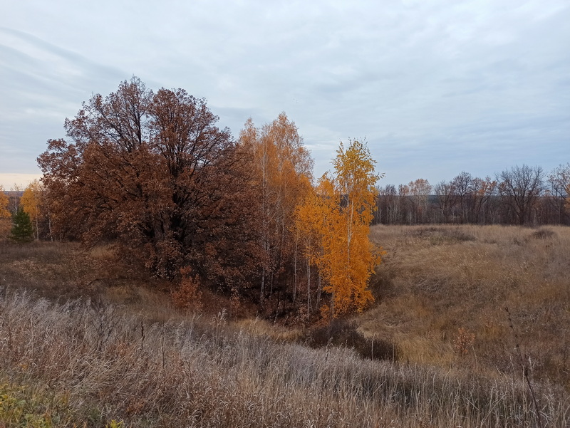 Висит над миром неизвестность...
