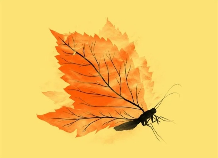 Пархают листья, мотыльками