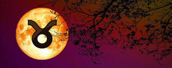 В сияньи лунном всё умолкло