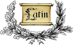 Латынь