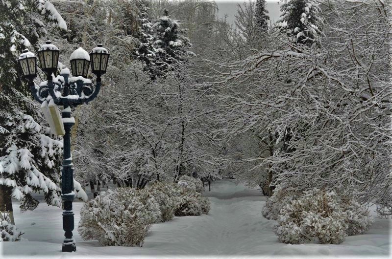 А снег всё падал...