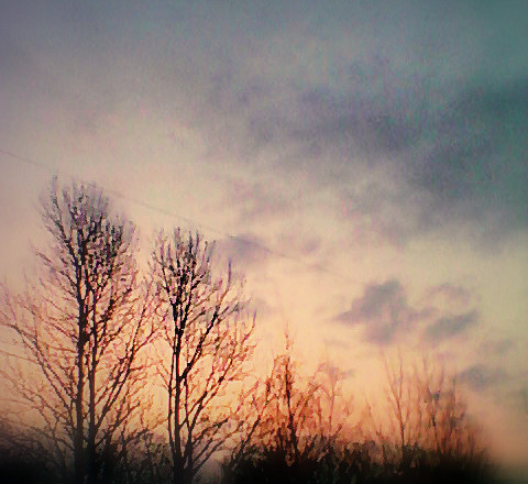 Тепла и уюта в ноябрьскую среду...