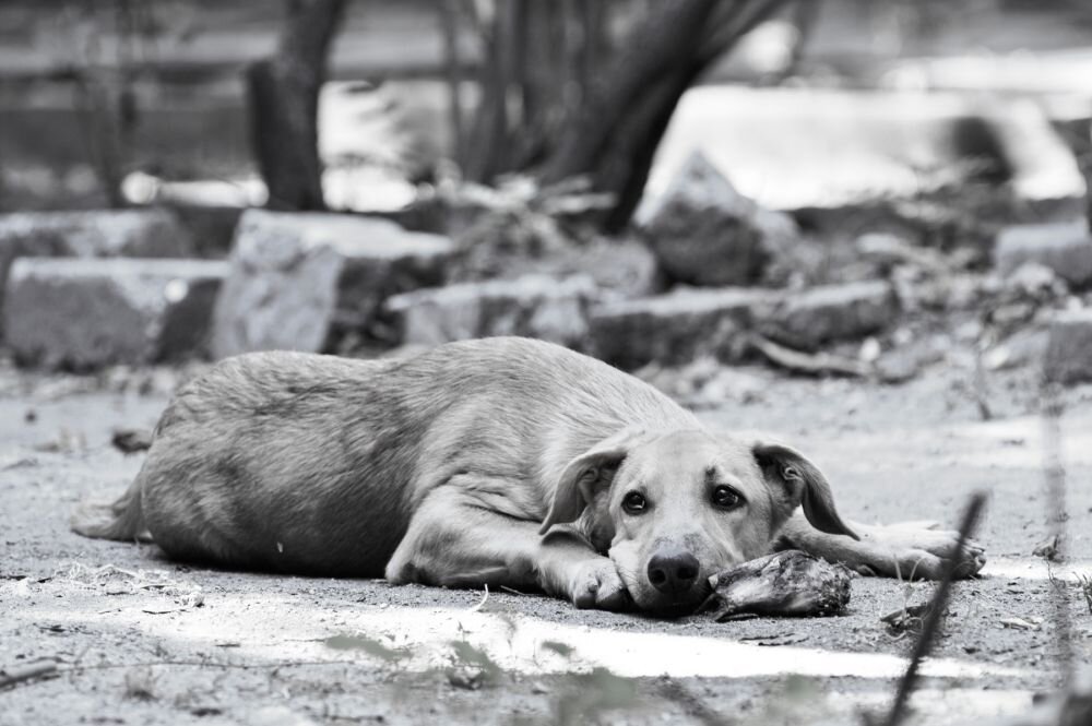 Не долго думая, сижу на остановке...