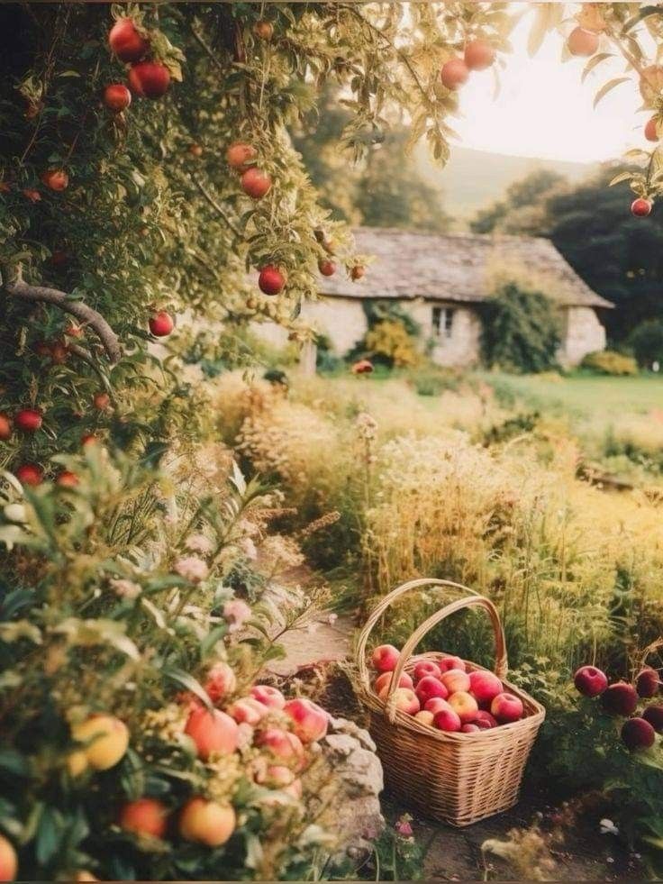 Ждёт меня голубка мама, с тишиной воркует