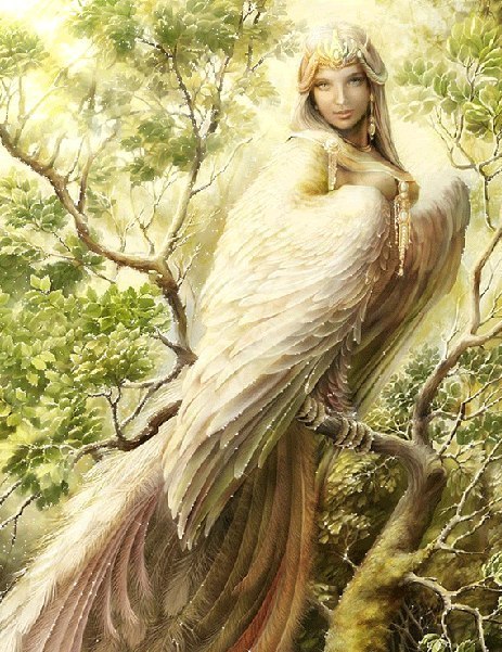 Безвозвратность