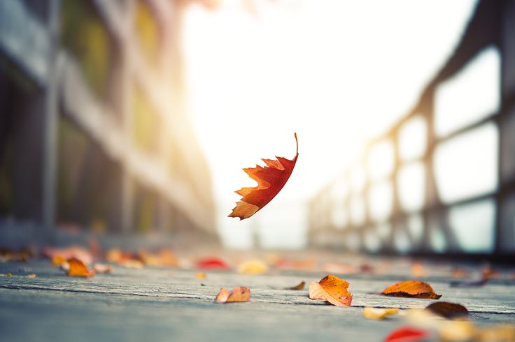 Всё равно всё будет по-другому..