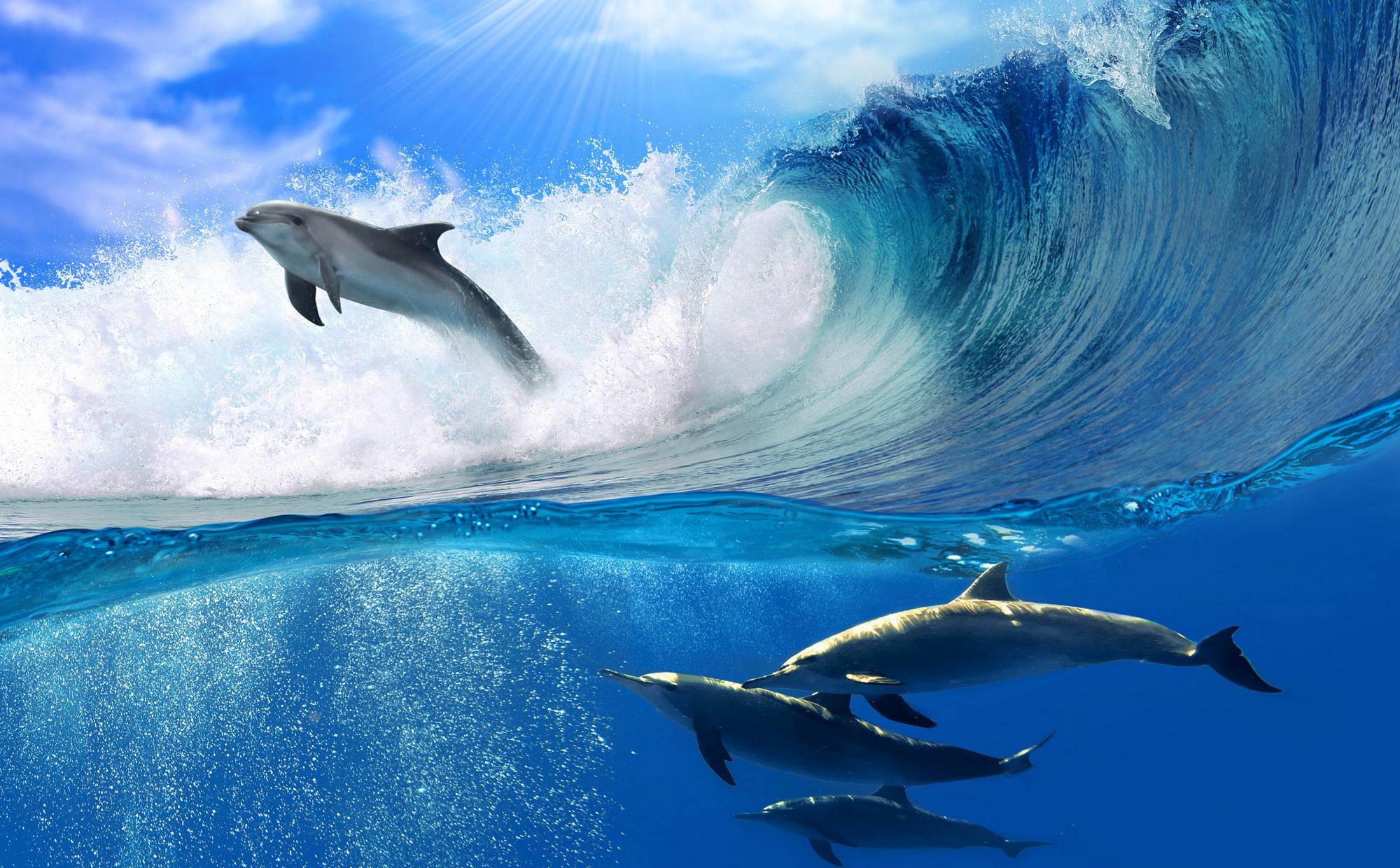 Я хочу увидеть океан