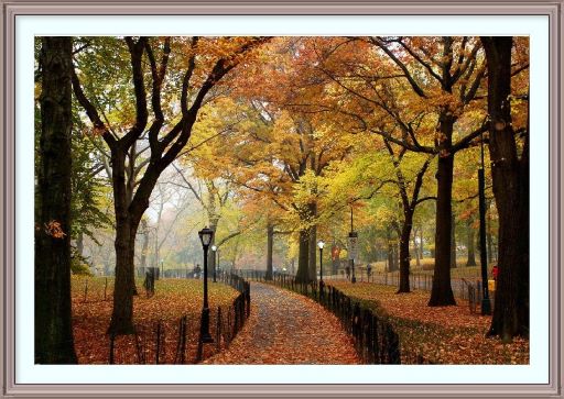 Природа в парк, к себе зовёт...