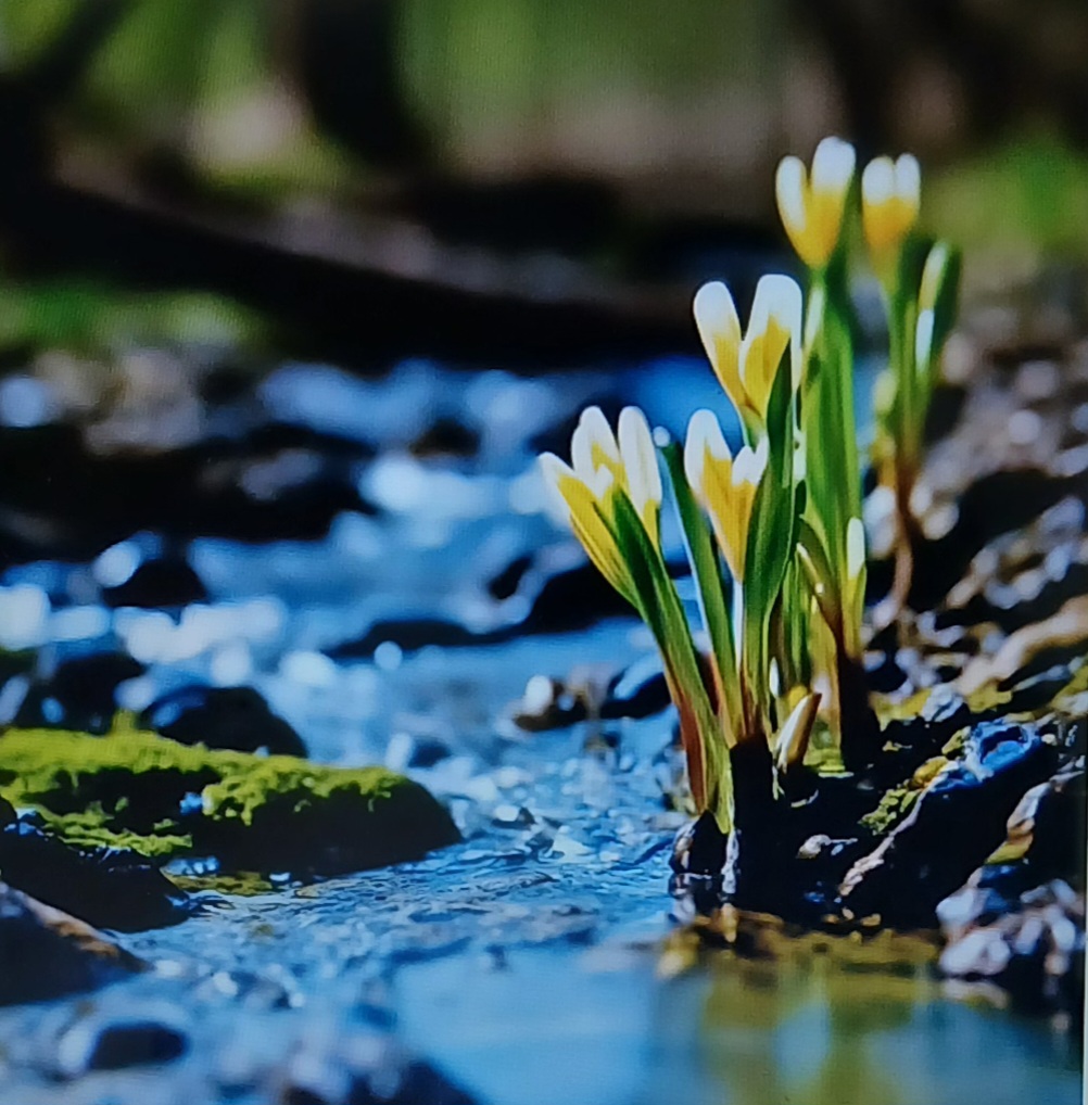 Тем не менее