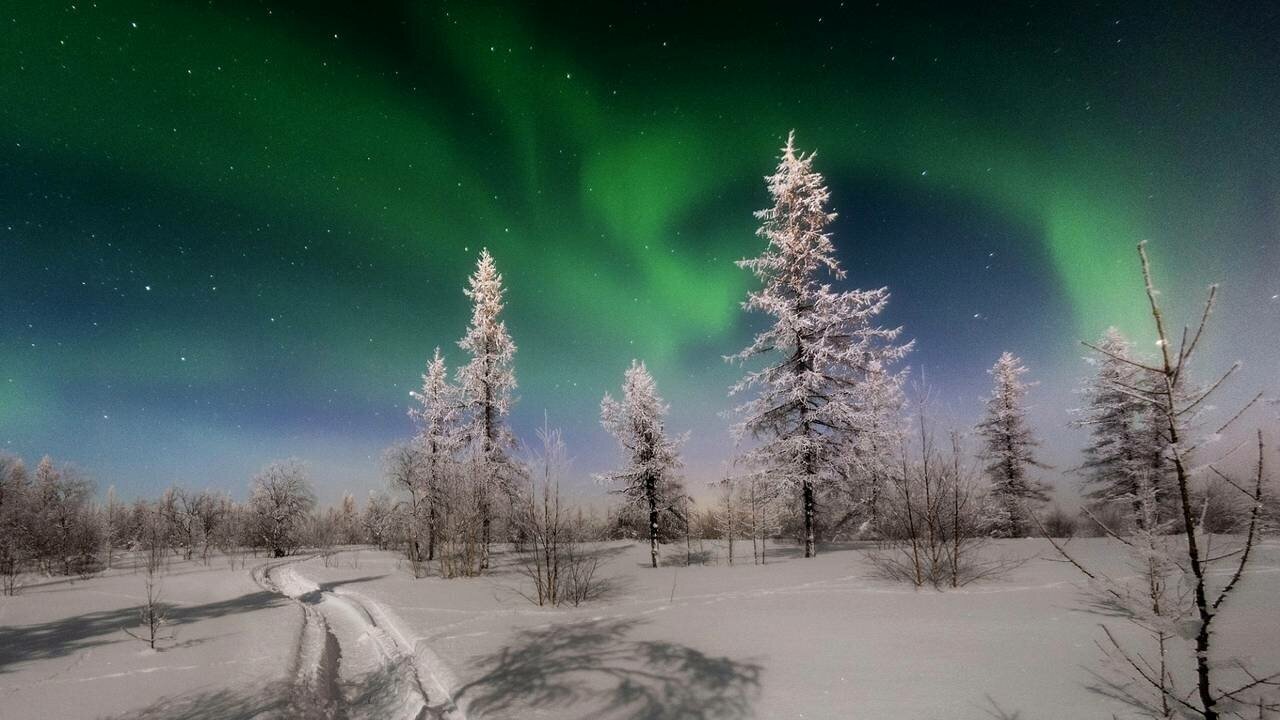 Зимняя сказка