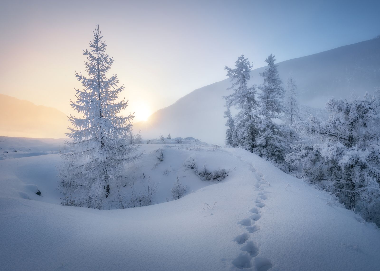 И белым вокруг бело