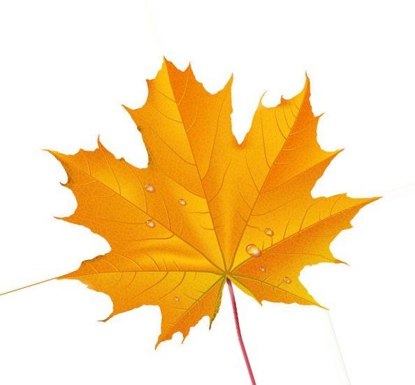 Прощай, глаз чарующих осень