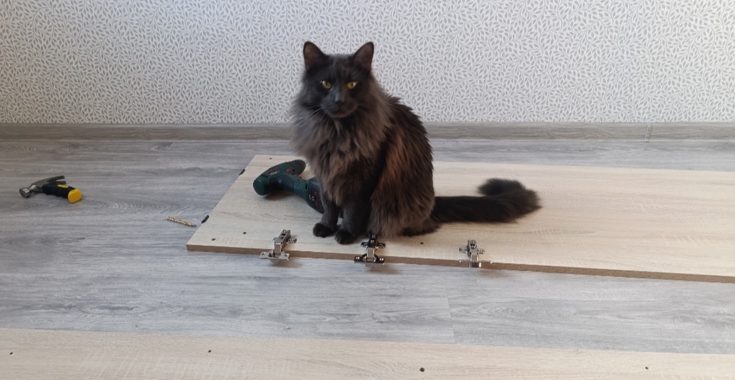 Тоску гоню скорей взашей!