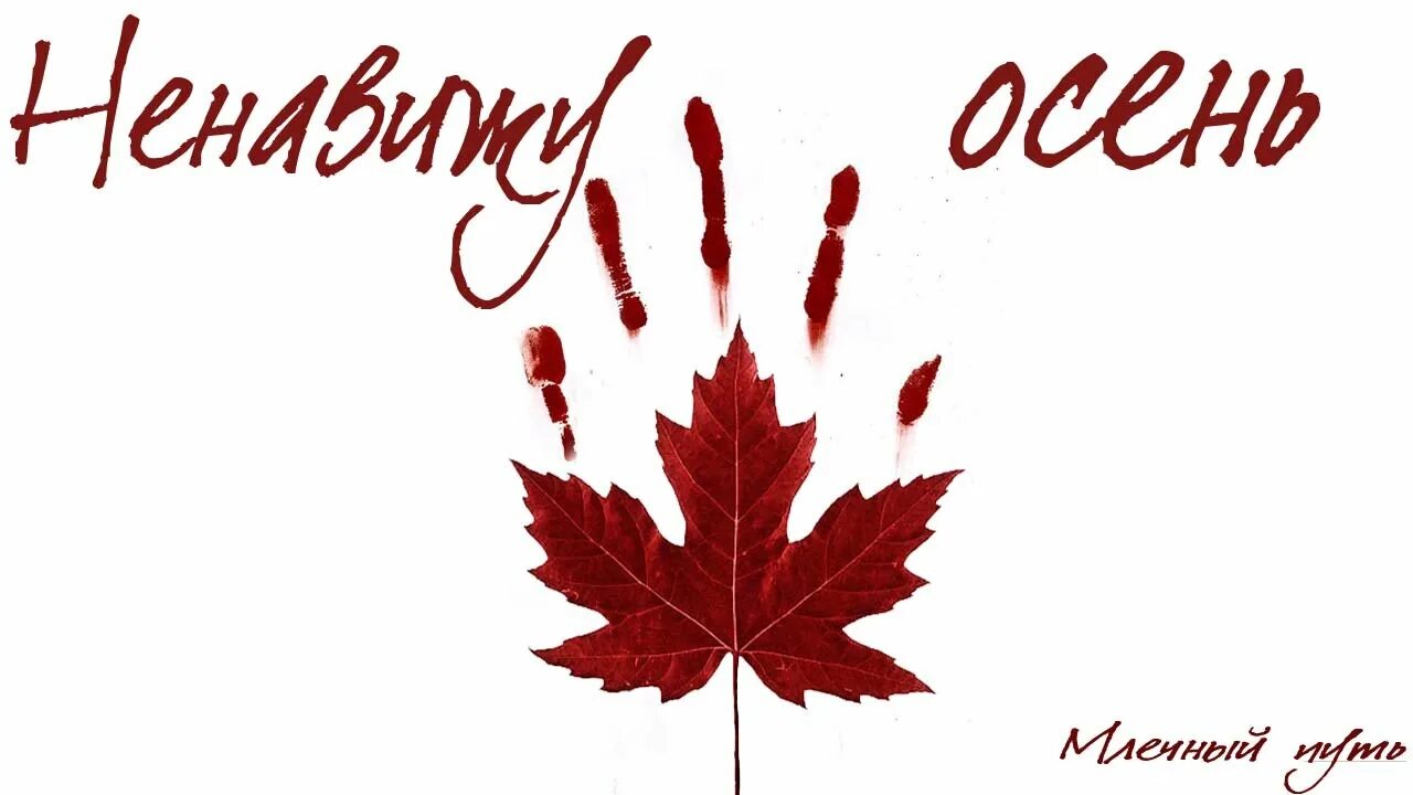 Зверят лесных успешно дрессируют!