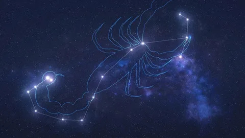 Третье ноября