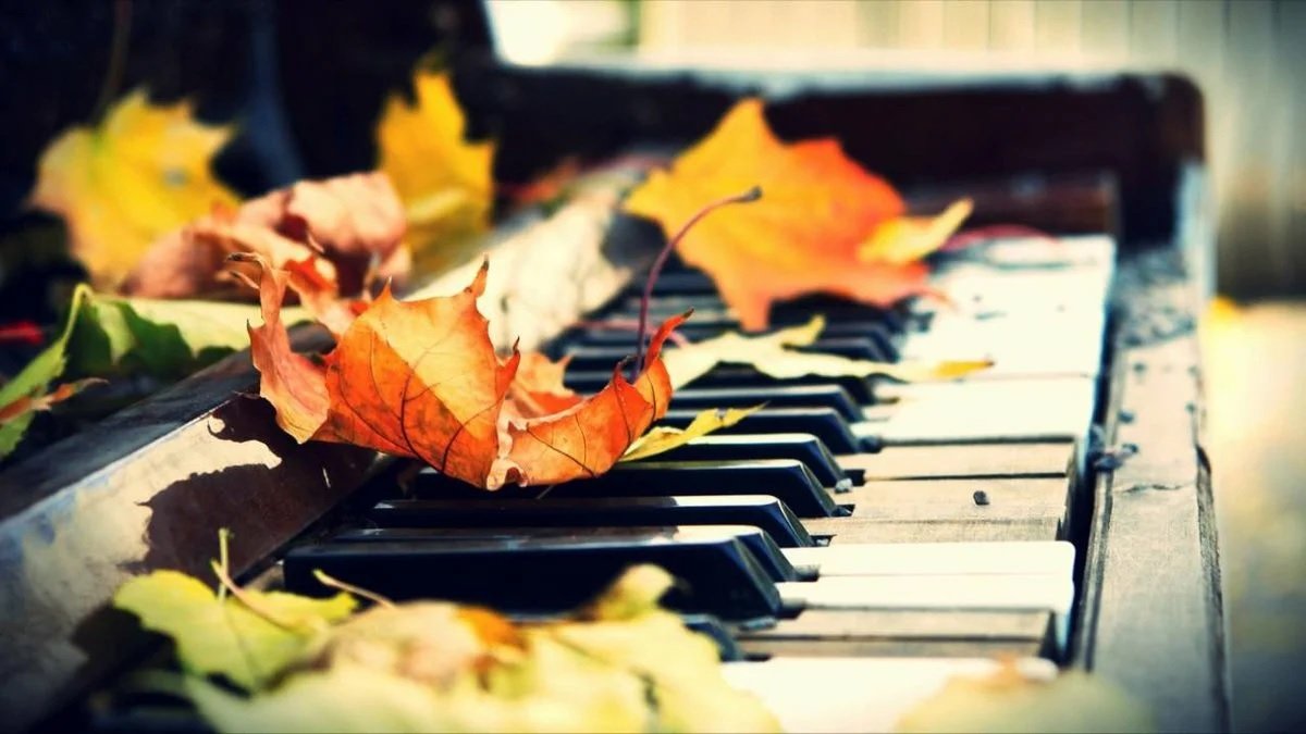 Звучит орган