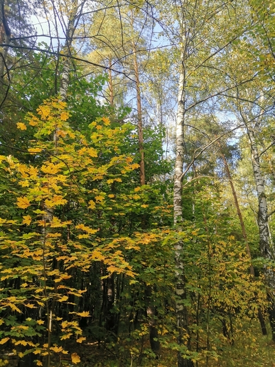 Осеннее равноденствие