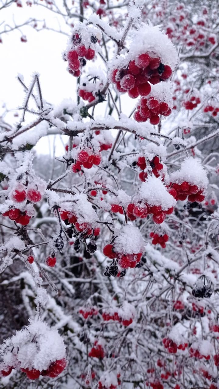 Никакой тогда стихии вас и ввек не развести!