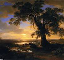 Мглою ночь укроет лес