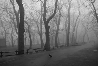 Только надо сейчас пережить