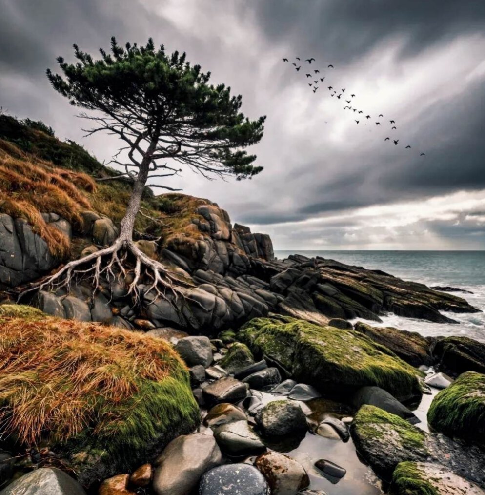 У Белого моря