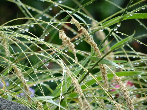 Я согрею тебя в объятьях
