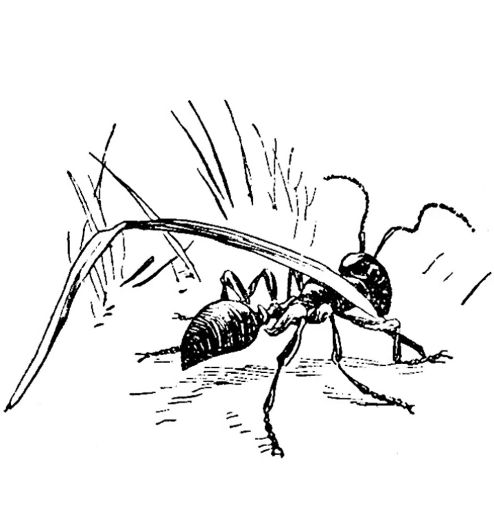 Всё, как в том Сне!