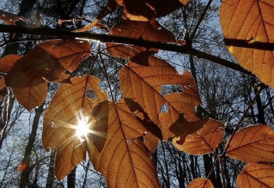 Ну, погодка!