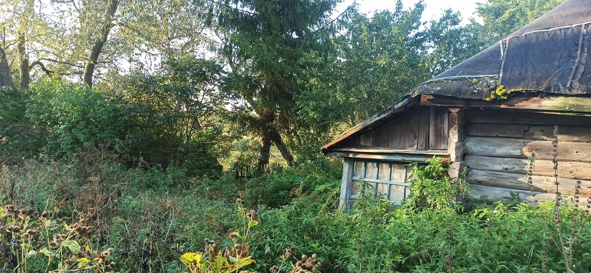 До следующего лета! Ода деревне